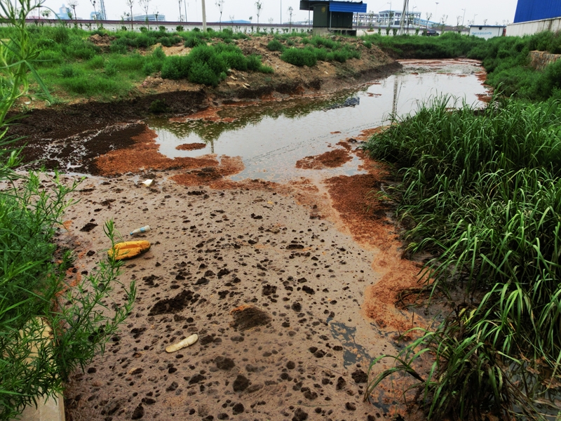 生物毒性分析儀監(jiān)測受污染環(huán)境的生物毒性 生物毒性分析儀監(jiān)測受污染環(huán)境的生物毒性