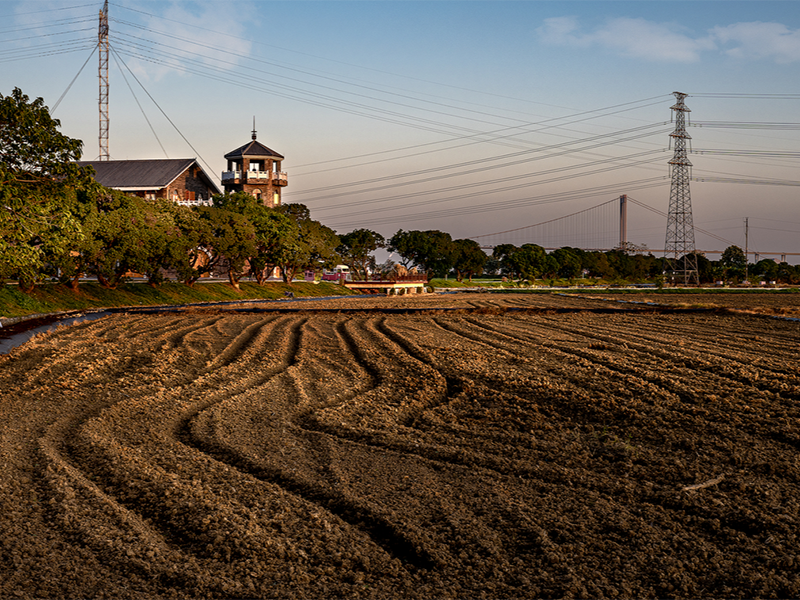 土壤重金屬 土壤重金屬