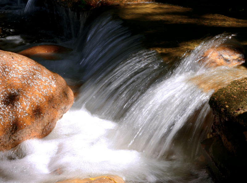 水質生物毒性檢測儀 水質生物毒性檢測儀