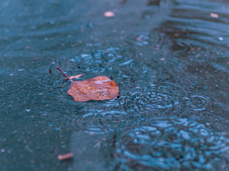 二氧化氯 二氧化氯