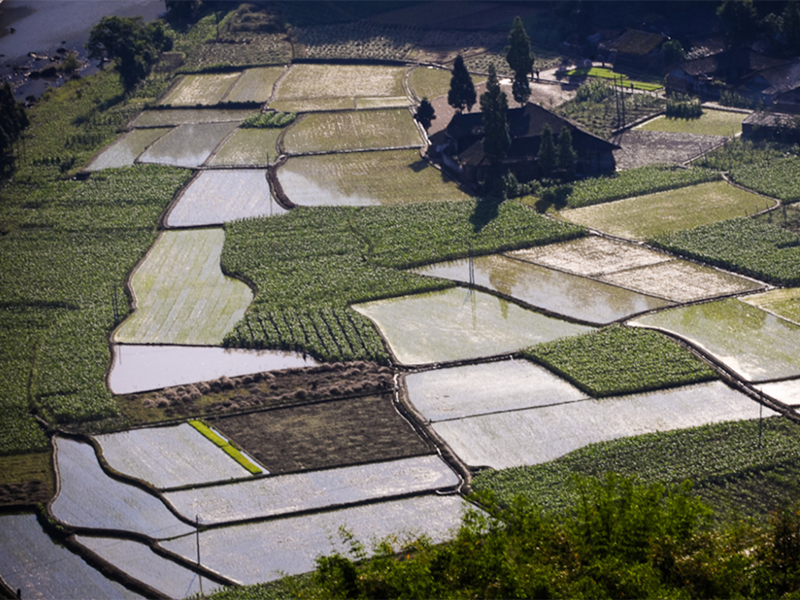 測土配方施肥 測土配方施肥