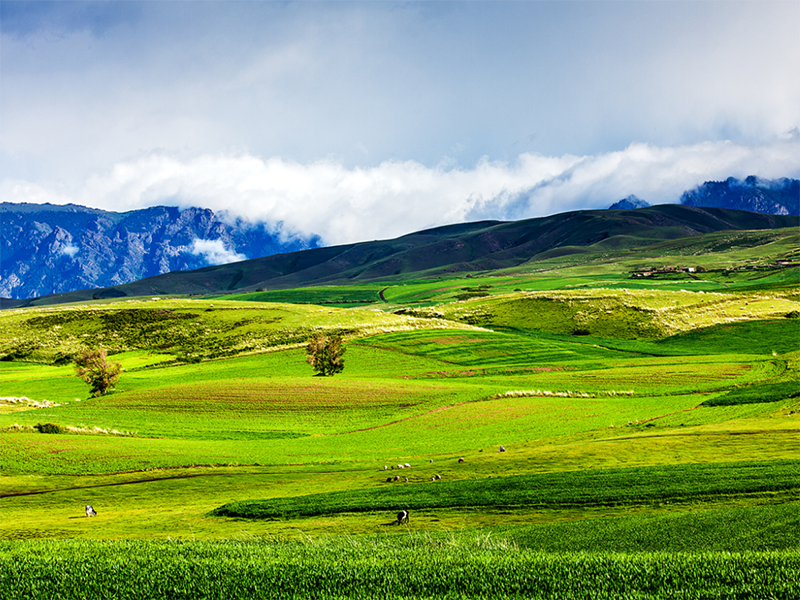 土壤肥料檢測儀 土壤肥料檢測儀