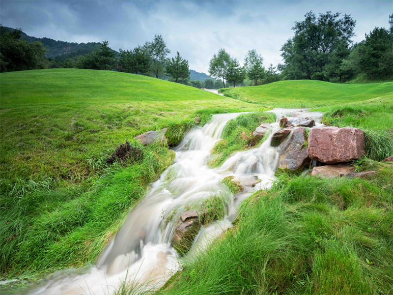 廢水氨氮總氮超標原因 廢水氨氮總氮超標原因