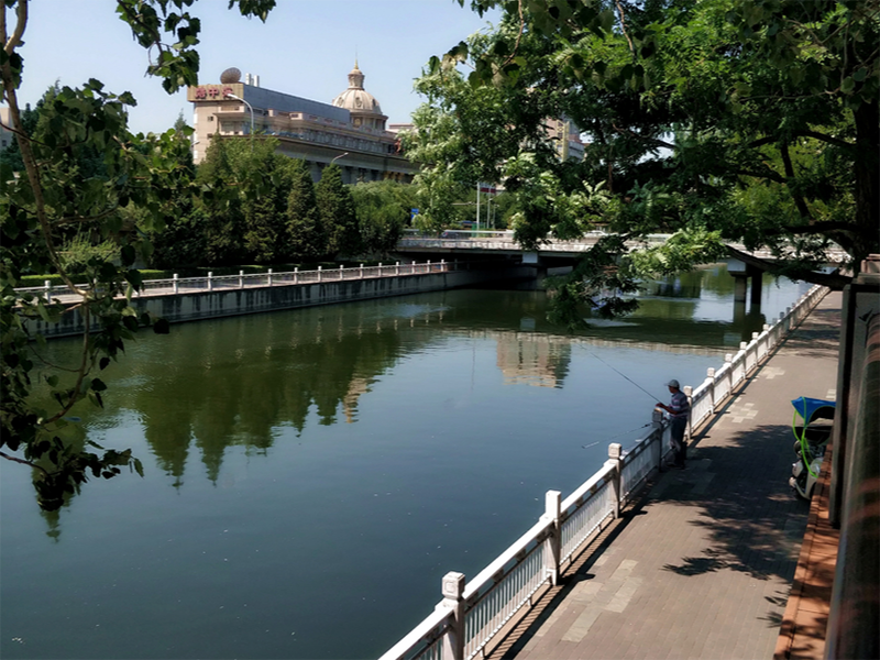 水質(zhì)生物毒性分析儀原理 水質(zhì)生物毒性分析儀原理