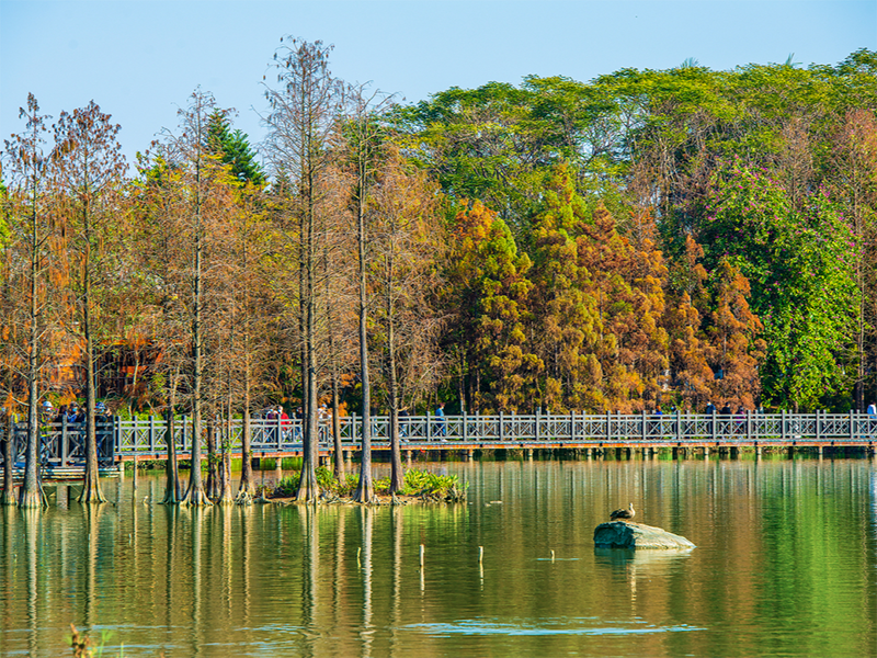 總磷水質(zhì)分析儀性能特點 總磷水質(zhì)分析儀性能特點