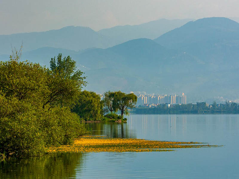 COD水質在線監測設備價格 COD水質在線監測設備價格