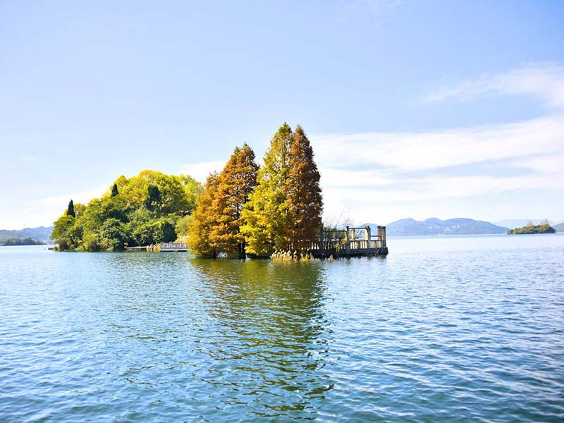 1653025074180506.jpg QQ截圖20220520133629.jpg