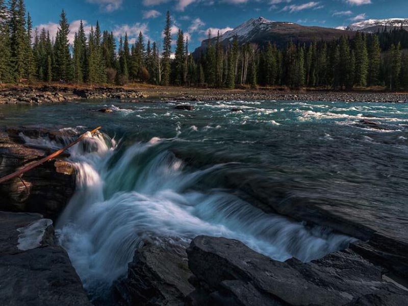 COD去除劑非法投加危害大 COD去除劑非法投加危害大