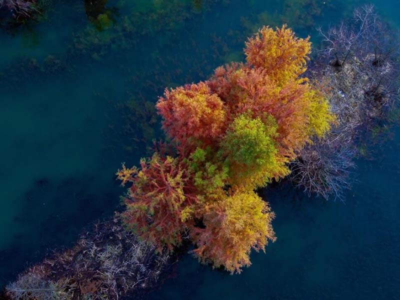 水質(zhì)COD代表什么意思 水質(zhì)COD代表什么意思