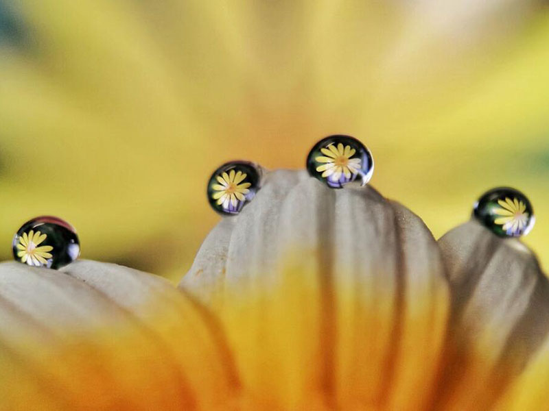 水質重金屬測定儀價格是多少 水質重金屬測定儀價格是多少