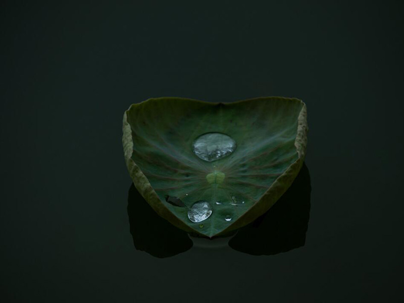 【儀器】紅外測油儀與紫外測油儀的區別 【儀器】紅外測油儀與紫外測油儀的區別