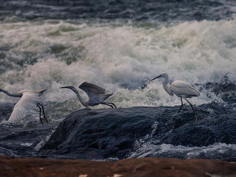 水質總氮與氨氮檢測的區別是什么