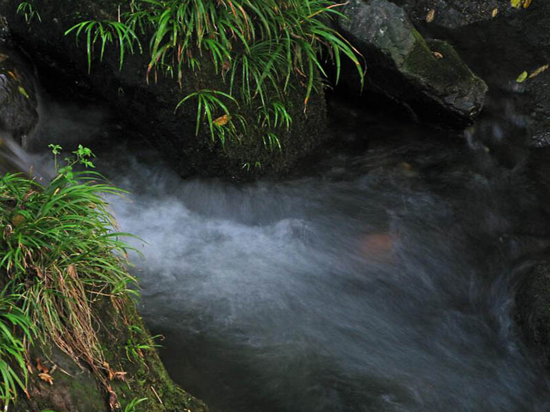在線COD監測儀常見故障有哪些 在線COD監測儀常見故障有哪些