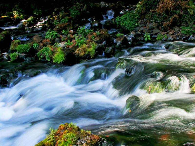 廢水重金屬超標的處理方法有哪些 廢水重金屬超標的處理方法有哪些