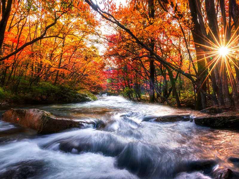 泳池水質pH檢測儀使用方法