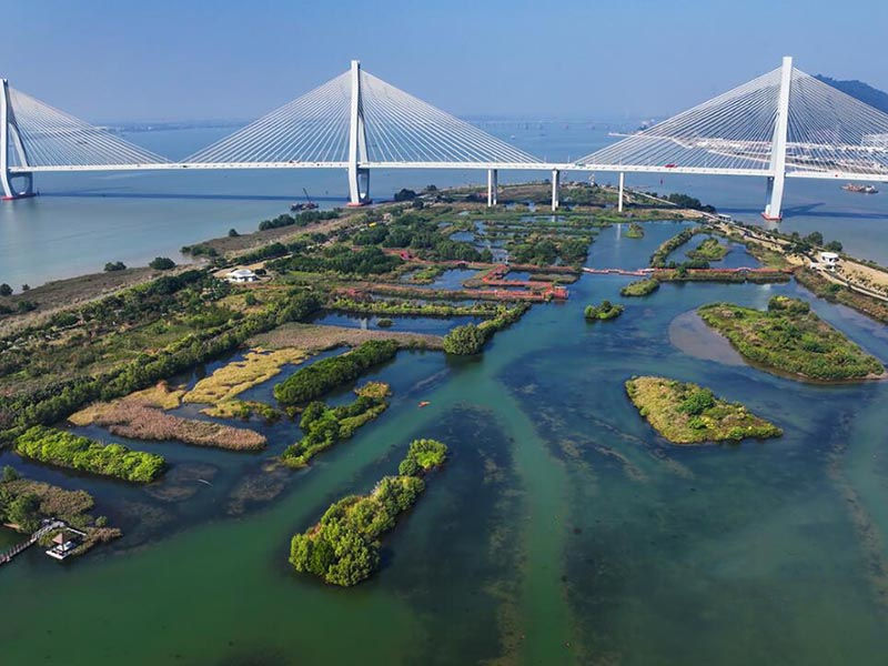 水質氨氮的測定方法介紹