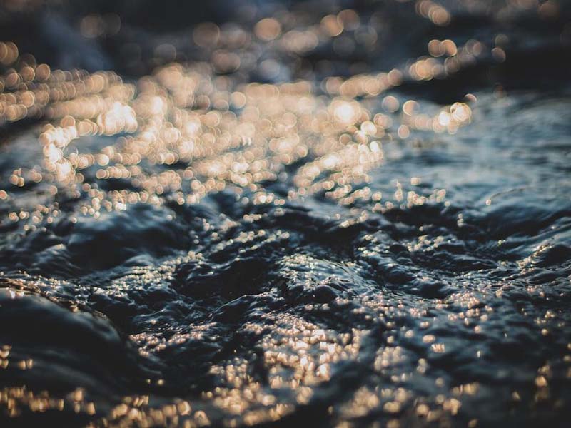 漁業養殖水質標準