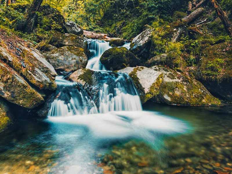 在線COD監測儀工作原理