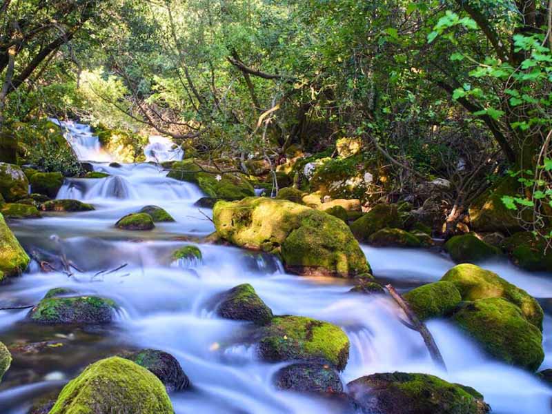 【行業標準】GB 5749-2022《生活飲用水衛生標準》有哪些變化