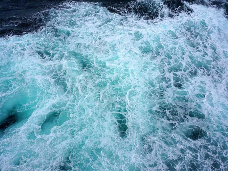 總氮檢測儀使用方法