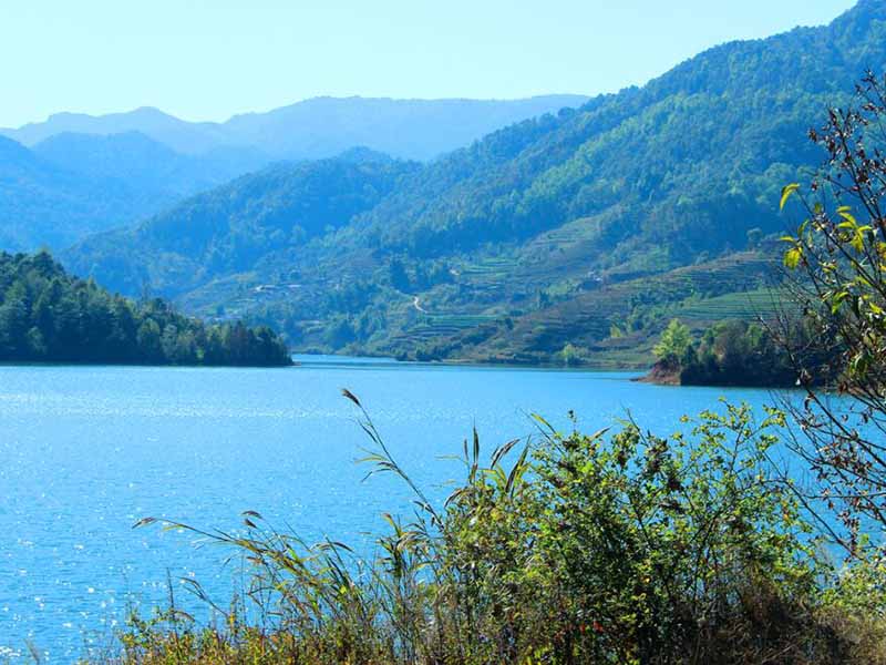 總磷在線自動監測儀價格