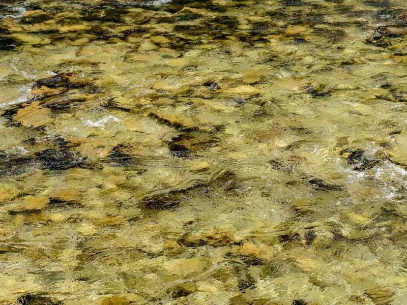 水質自動監測儀溯源方式