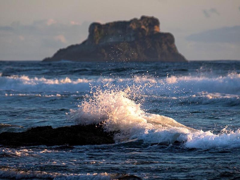 總磷在線監測儀日常維護方法