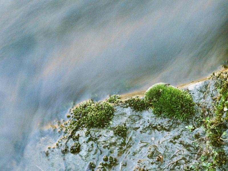 多參數(shù)流動注射分析儀檢測原理及指標(biāo)