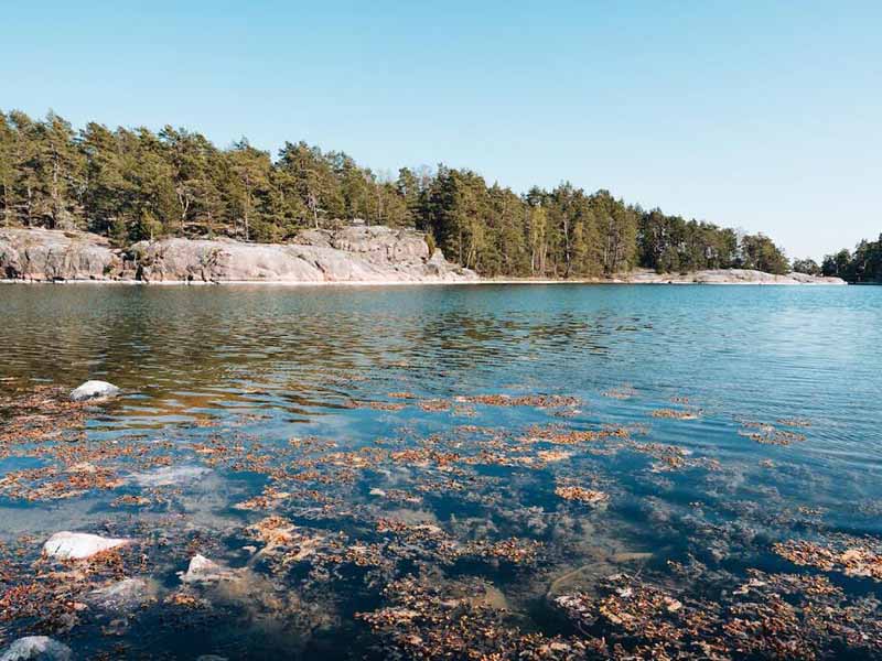 五參數水質監測儀檢測參數有哪些