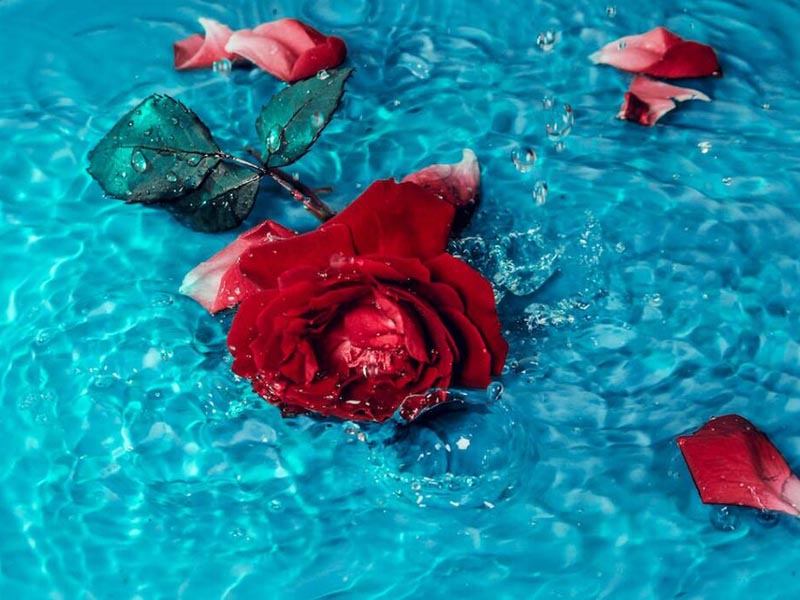 二氧化氯檢測方法對比（水質二氧化氯檢測標準）