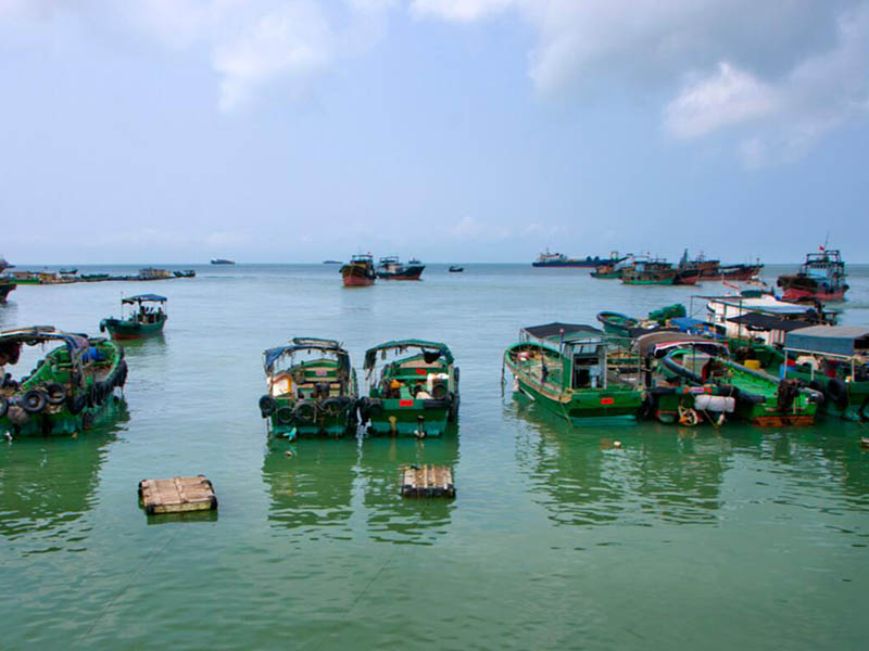 【對比】熒光法與膜法(極譜法)溶解氧分析儀區別