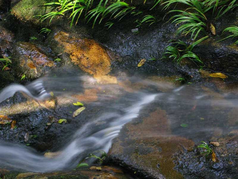 水質總氮檢測方法有哪些