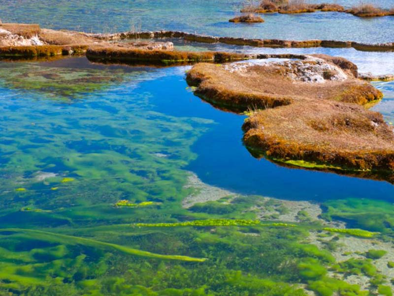 地表水總磷總氮標準限值（總磷總氮超標處理方法）