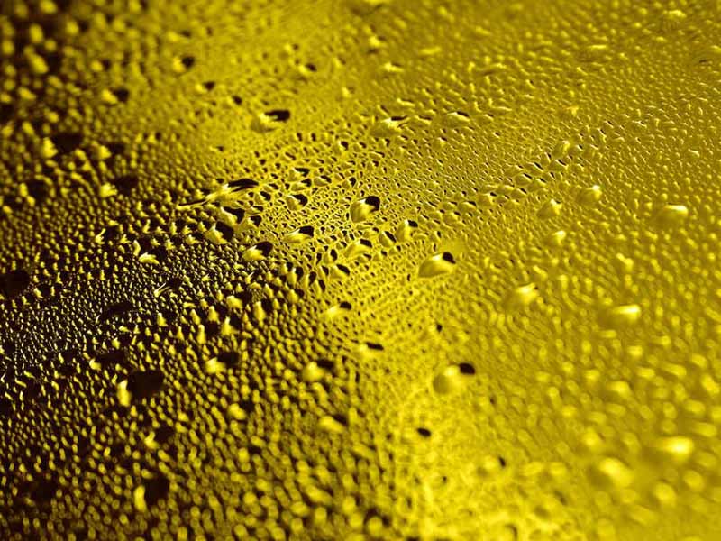 啤酒色度儀該怎么使用