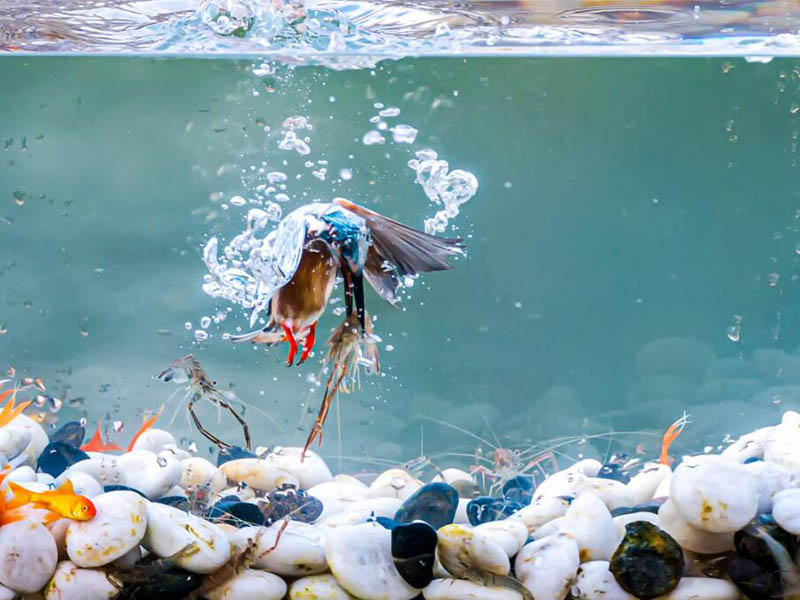 水質檢測常規五參數