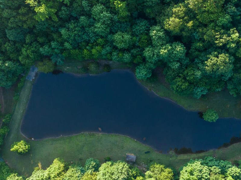 藍藻水華控制技術主要有哪些