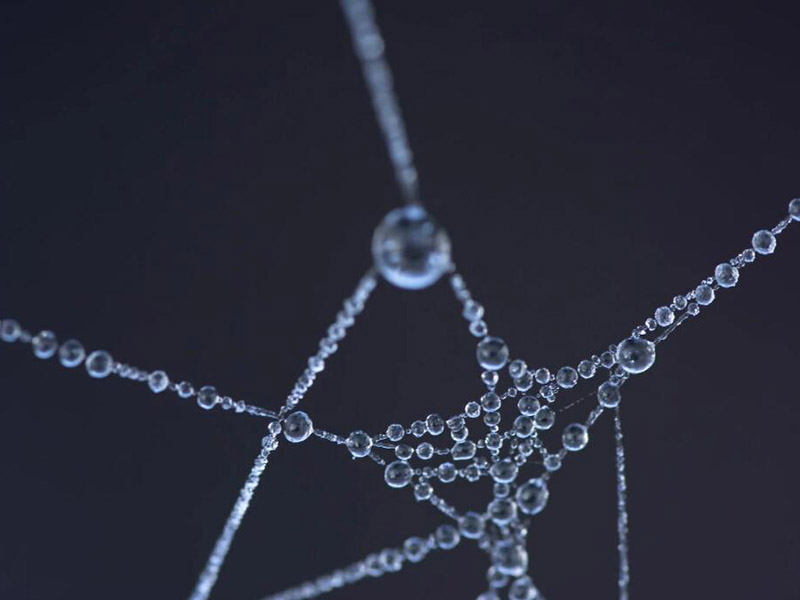 自來水錳超標的危害