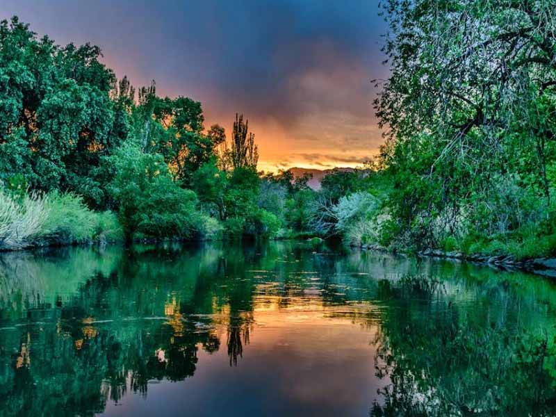 氨氮的定義及檢測標準