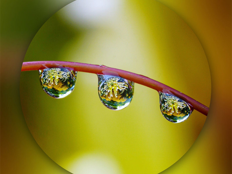 總有機碳TOC分析儀檢定規(guī)程