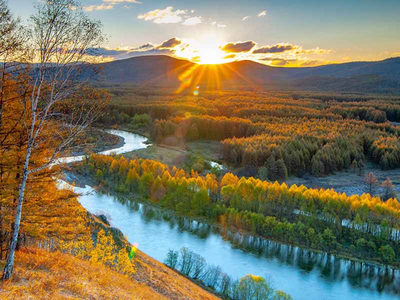 【儀器操作】COD在線自動分析儀的維護與保養指南