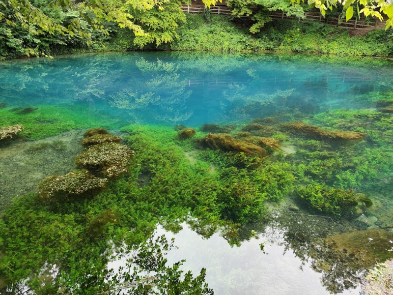 微型水質在線自動監測站主要功能與特點（微型水質在線自動監測站應用領域）