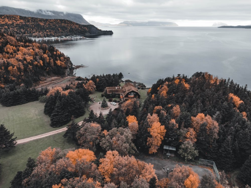 生物毒性檢測儀檢測原理（生物毒性檢測儀應用行業）