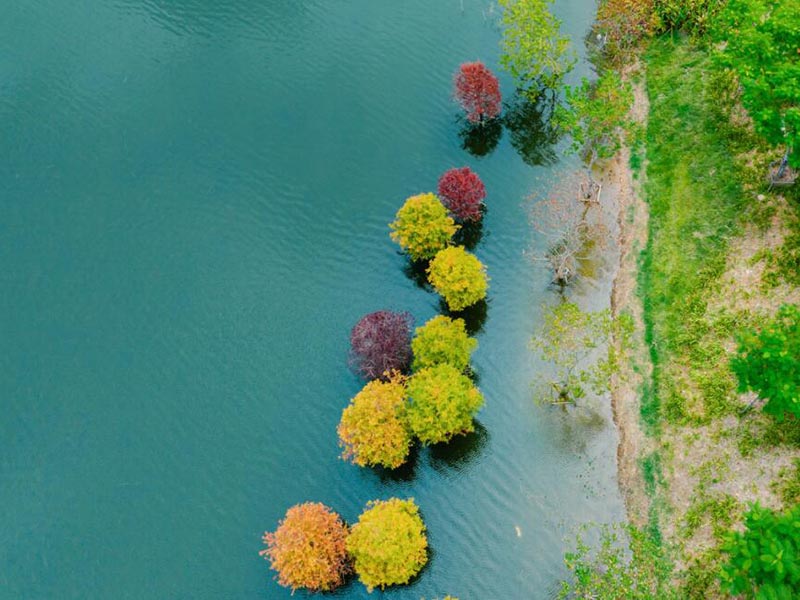 氯離子檢測(cè)儀檢測(cè)原理（氯離子檢測(cè)儀的應(yīng)用）