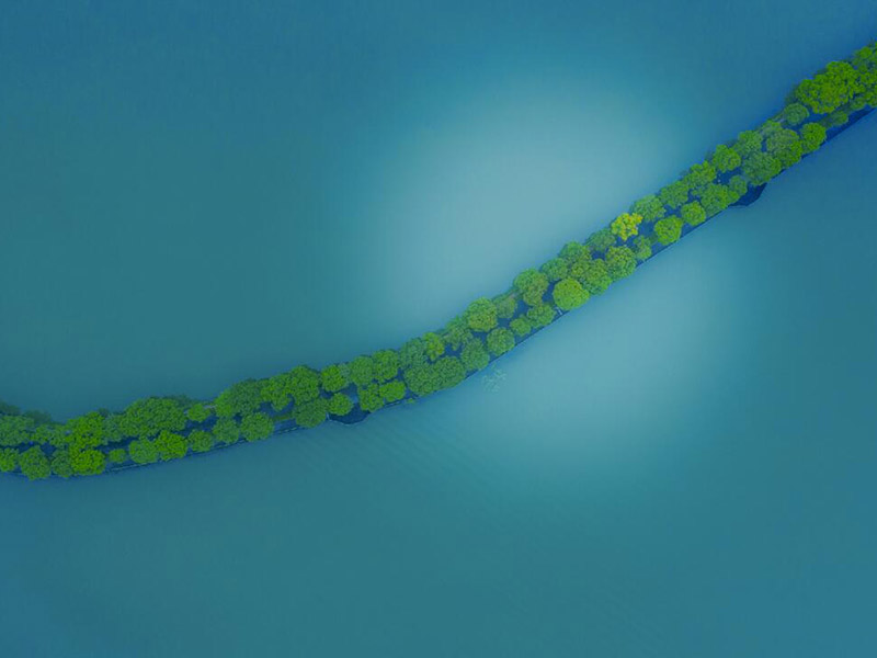 氰尿酸檢測儀檢定規程（氰尿酸檢測儀?檢定步驟）