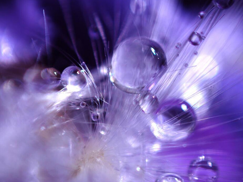 污水生物毒性檢測儀怎么用