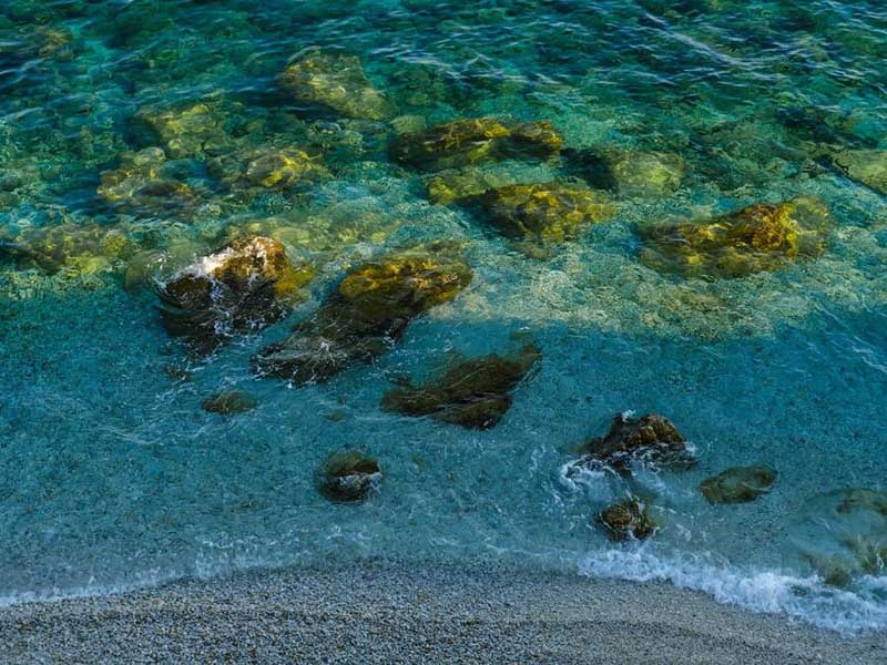 水中細菌檢測方法