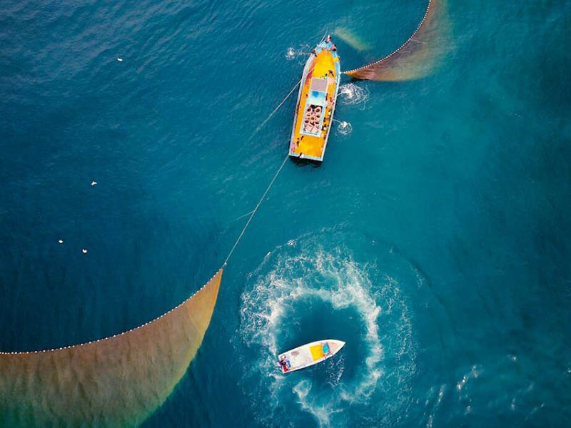 高精度溶解氧分析儀廠家及應(yīng)用