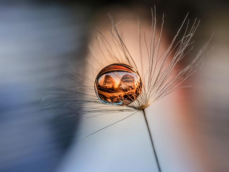 鍋爐水中鐵離子檢測標準（水中鐵測定方法及規范）