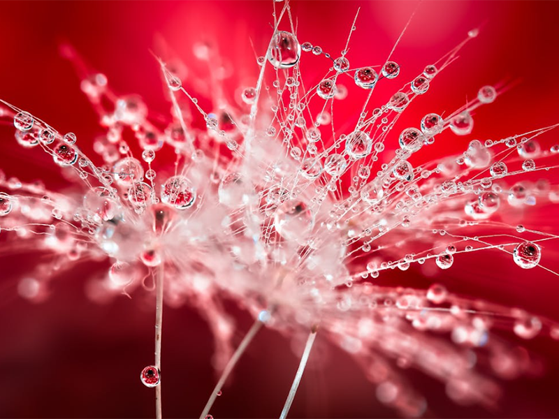 水質大腸桿菌檢測方法有哪些（大腸桿菌的水質標準）