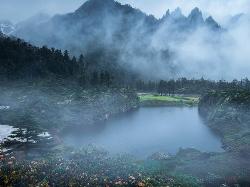 夏季枯水期水廠運行面臨哪些風險（水廠如何面對水位低、水質亂）